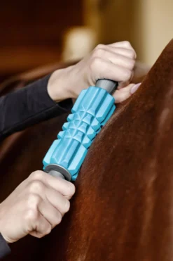 Waldhausen Ryktväskor & Ryktborstar-Health+Care Faszien Fit Massagekavel