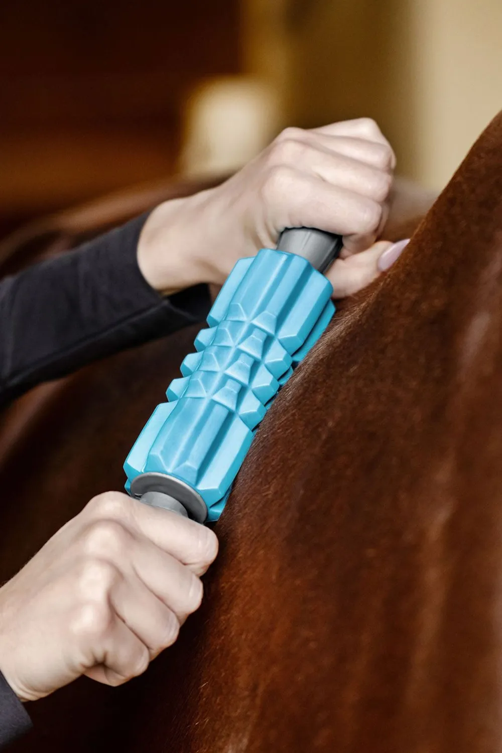 Waldhausen Ryktväskor & Ryktborstar-Health+Care Faszien Fit Massagekavel