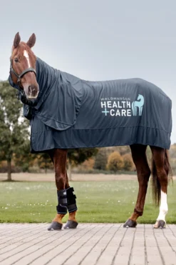 Waldhausen Hästtäcken & Flughuvor-Health + Care Ice Layer Hals Night Blue