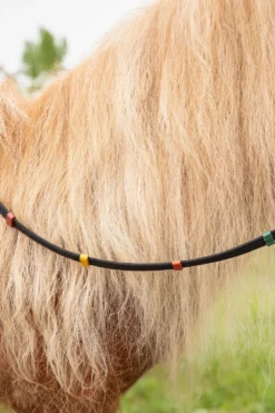QHP Qhp|Tyglar & Hjälptyglar-Hjälptygel Molly Svart