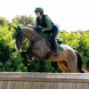 LeMieux Schabrak & Huvor|Lemieux-Hoppschabrak Mocka Hunter Green