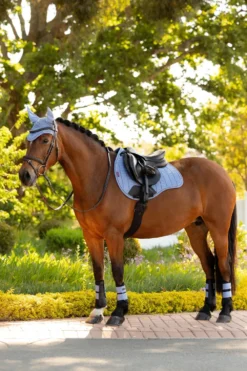 LeMieux Schabrak & Huvor|Lemieux-Hoppschabrak Sammet GP Powder Bue