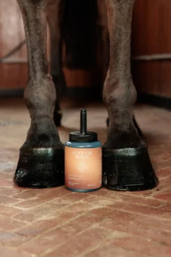 Kentucky Horsewear Grooming Deluxe-Hovolja Deluxe Svart