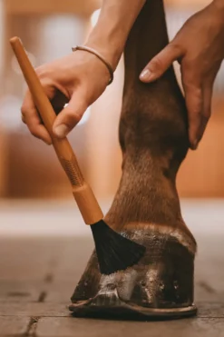 Grooming Deluxe Grooming Deluxe-Hovpensel
