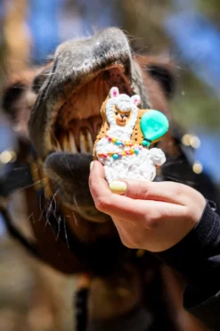 Candy Horse Candy Horse-Hästgodis Party Cookie #2