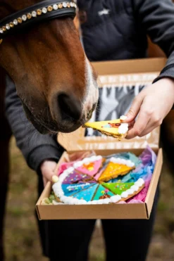 Candy Horse Candy Horse-Hästgodis Tårta Party