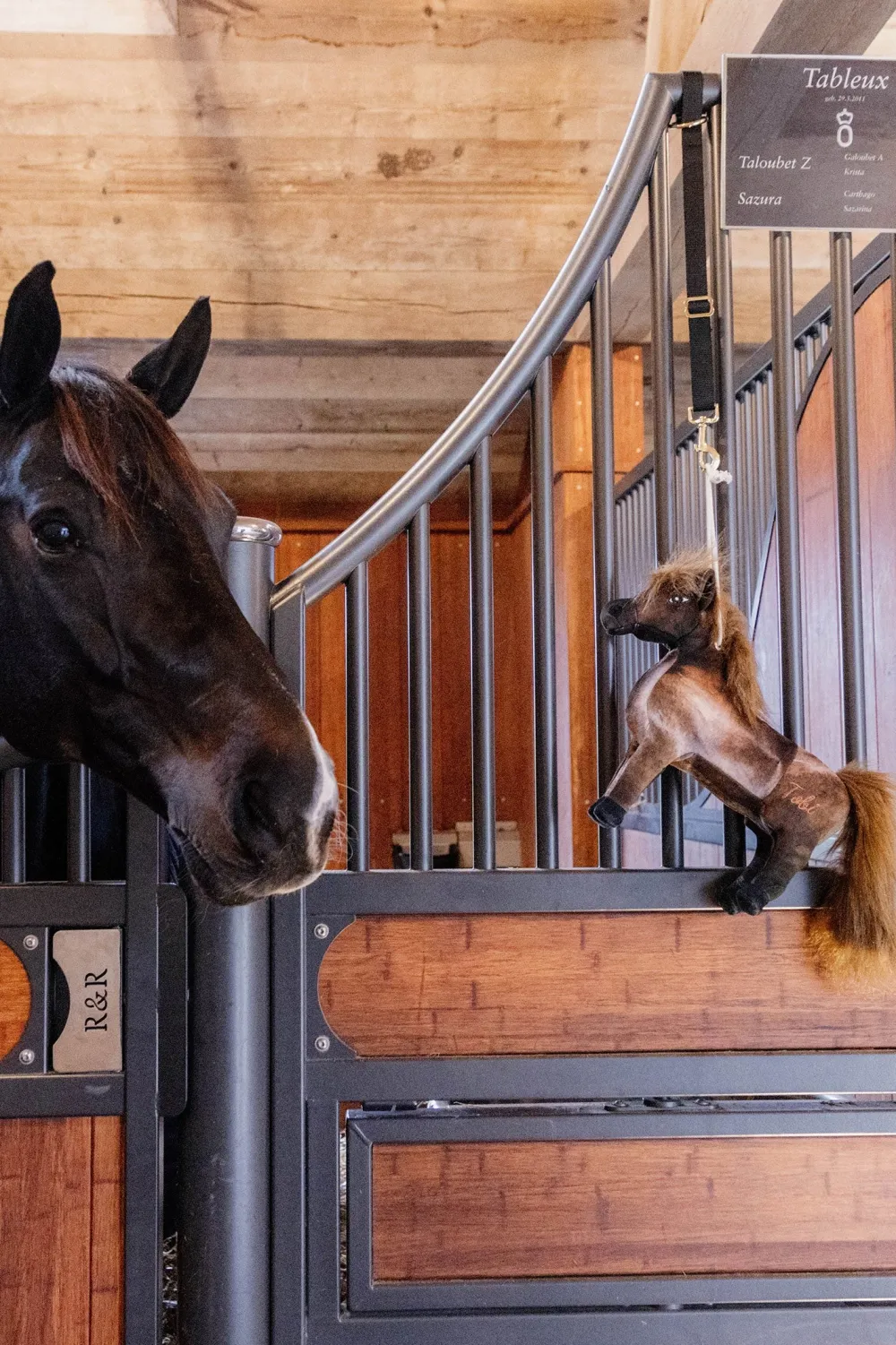 Kentucky Horsewear Kentucky Horsewear|Hästleksaker & Aktivering-Hästleksak Tableux