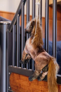 Kentucky Horsewear Kentucky Horsewear|Hästleksaker & Aktivering-Hästleksak Tableux