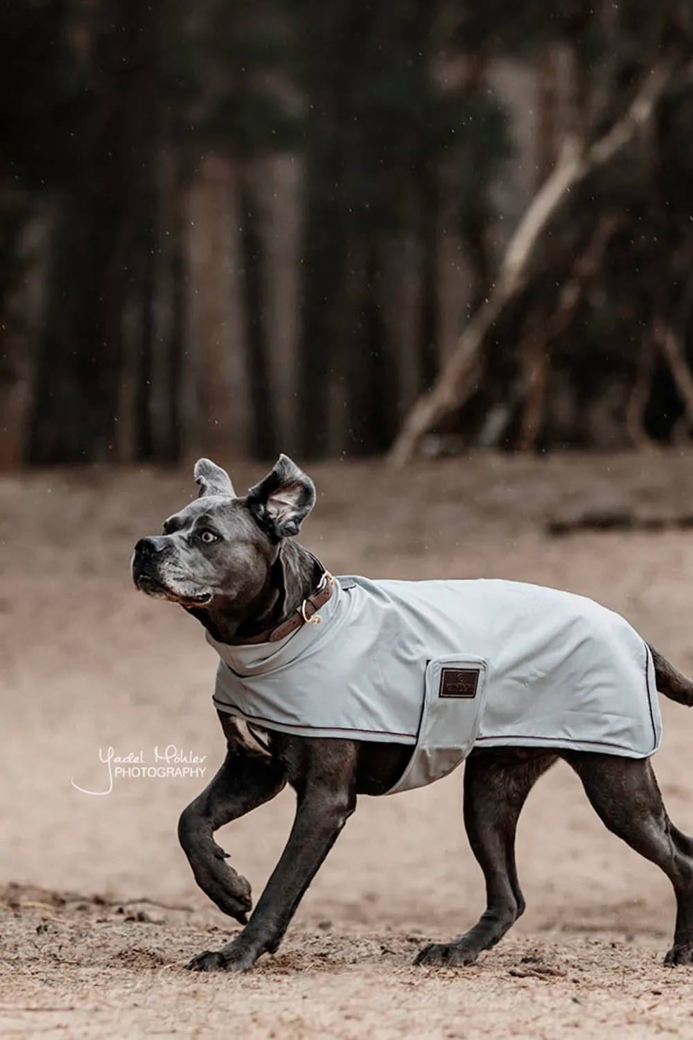 Kentucky Dogwear Kentucky Dogwear-Hundregntäcke 0g