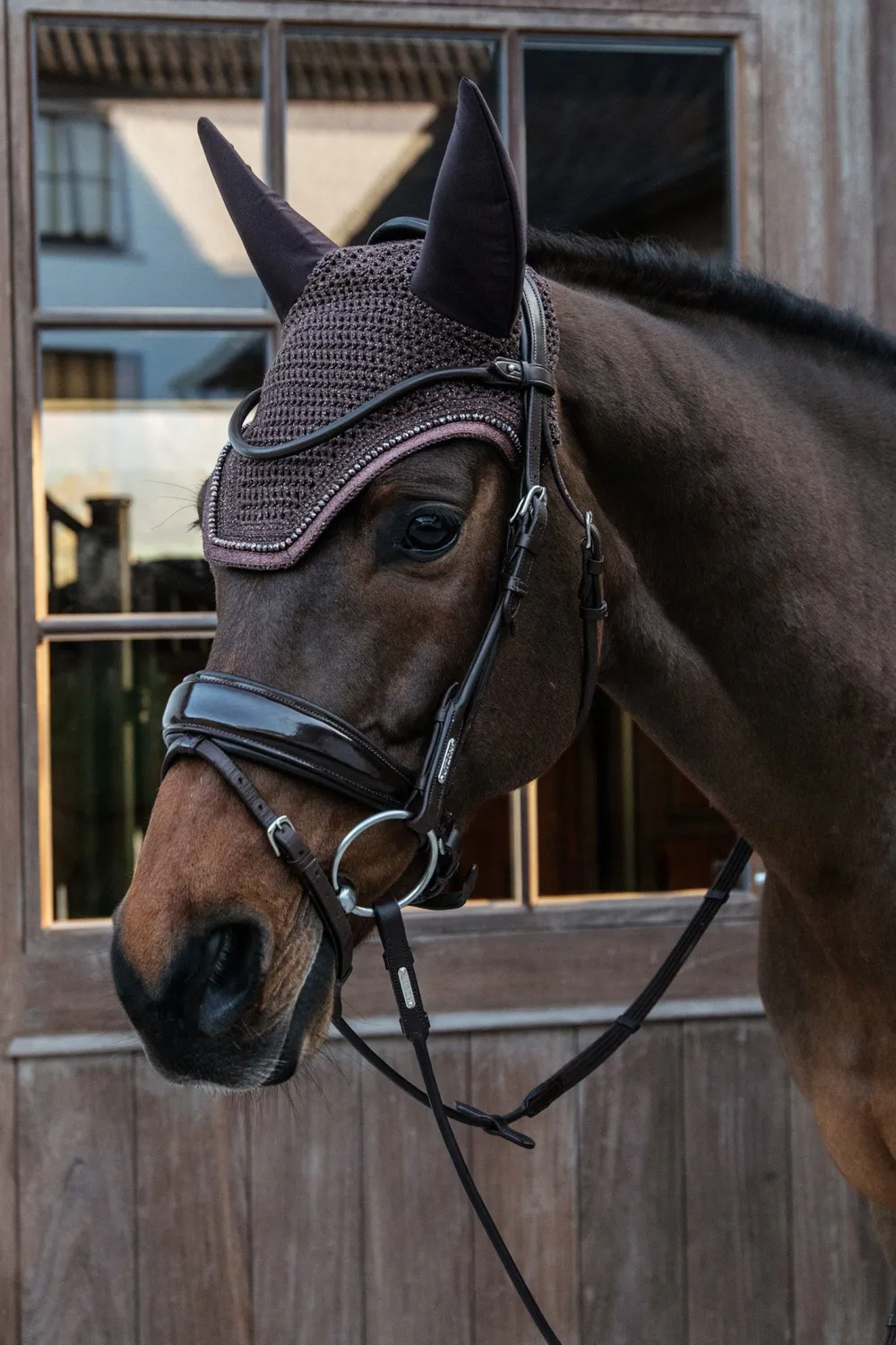 Kentucky Horsewear Schabrak & Huvor-Huva Wellington Isolerad Glitter Band Brun