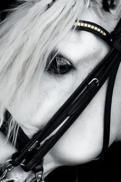Utzon Equestrian Träns & Pannband|Utzon-Kandar London