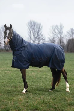 Kingsland Kingsland|Hästtäcken & Flughuvor-KLMindy Vintertäcke 200g Primaloft Navy
