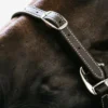 Kentucky Horsewear Grimmor & Grimskaft-Lädergrimma Flexible Brun