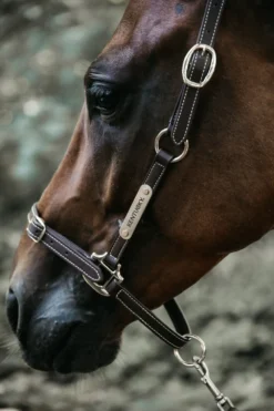 Kentucky Horsewear Grimmor & Grimskaft-Lädergrimma Flexible Brun