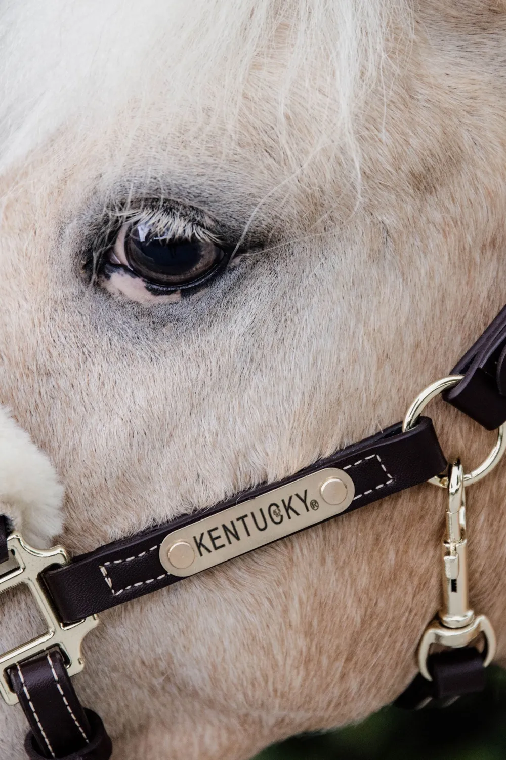 Kentucky Horsewear Grimmor & Grimskaft-Lädergrimma Fårskinn Brun