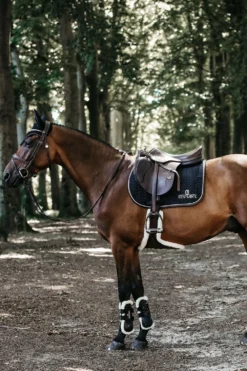 Kentucky Horsewear Schabrak & Huvor-Läder Hoppchabrak Svart
