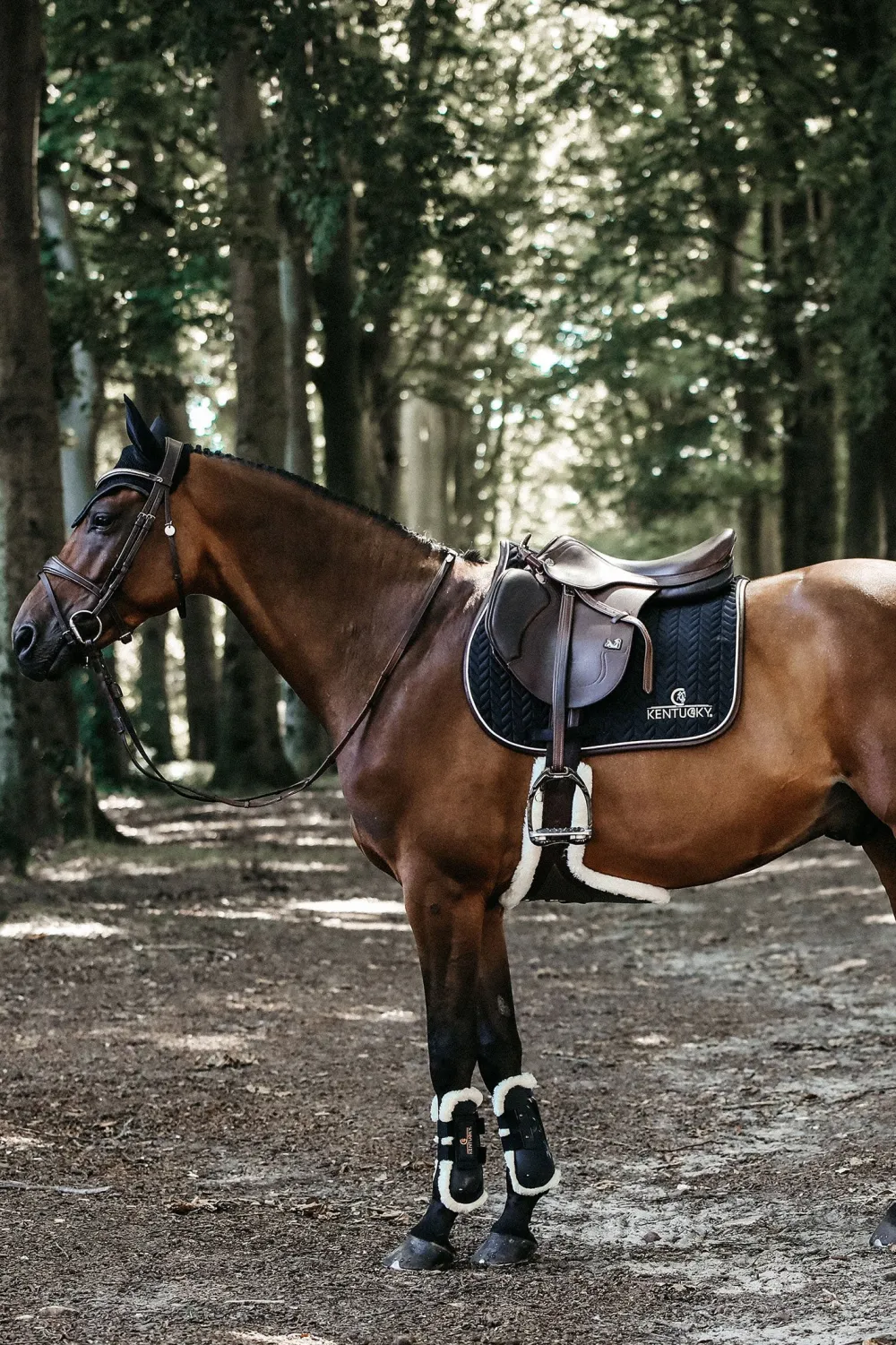 Kentucky Horsewear Schabrak & Huvor-Läder Hoppchabrak Svart