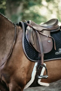 Kentucky Horsewear Schabrak & Huvor-Läder Hoppchabrak Svart