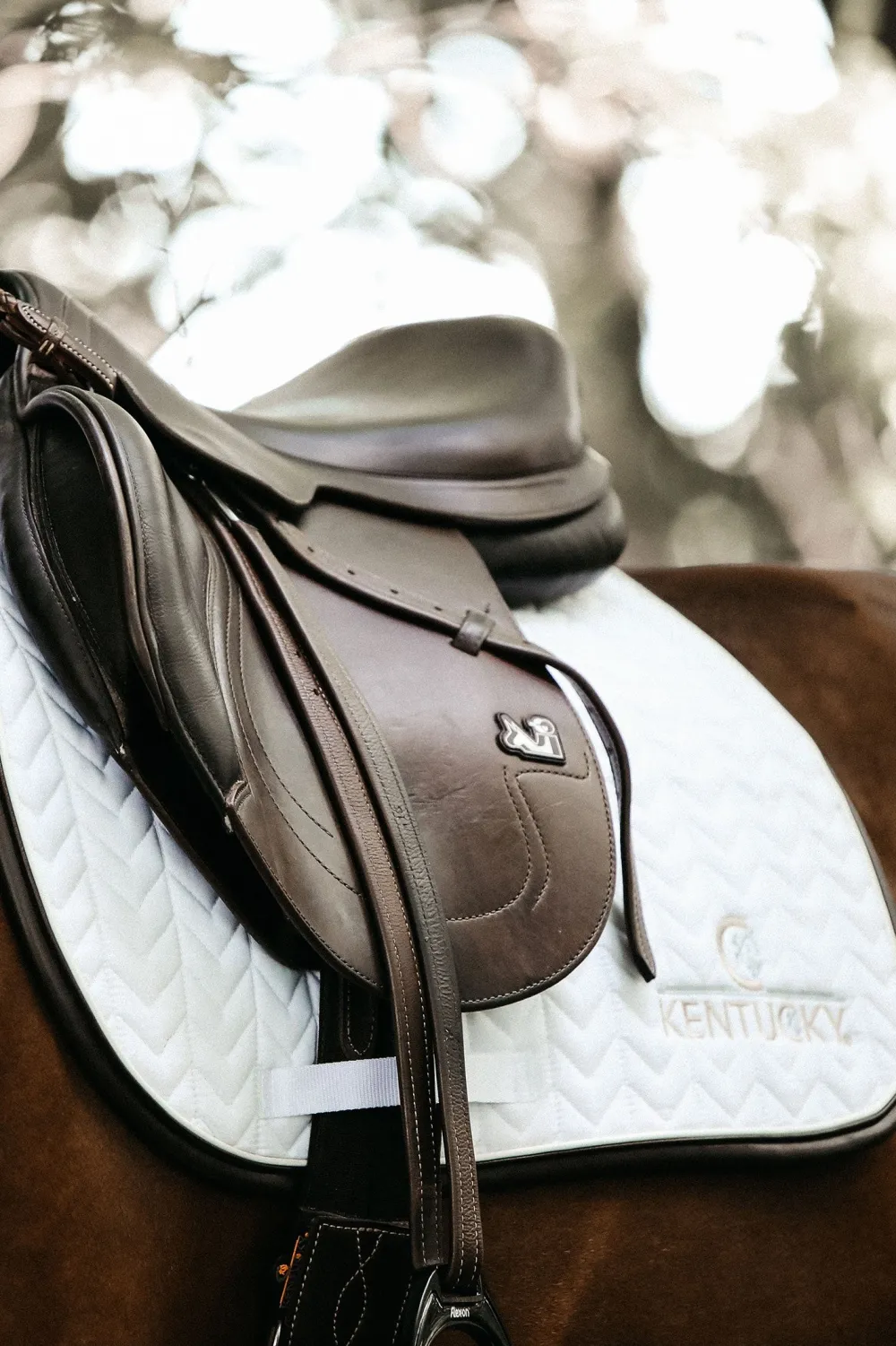 Kentucky Horsewear Kentucky Horsewear|Schabrak & Huvor-Läder Hoppschabrak Vit