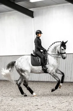 LeMieux Schabrak & Huvor|Lemieux-oire Cassic Dressyrschabrak Svart