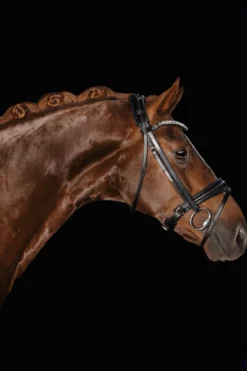 Utzon Equestrian Träns & Pannband|Utzon-London Träns