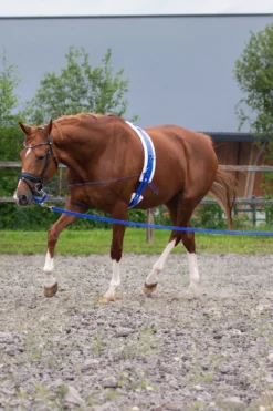 QHP Qhp|Tömkörning & Longering-Longerlina i Väska Cobalt blue