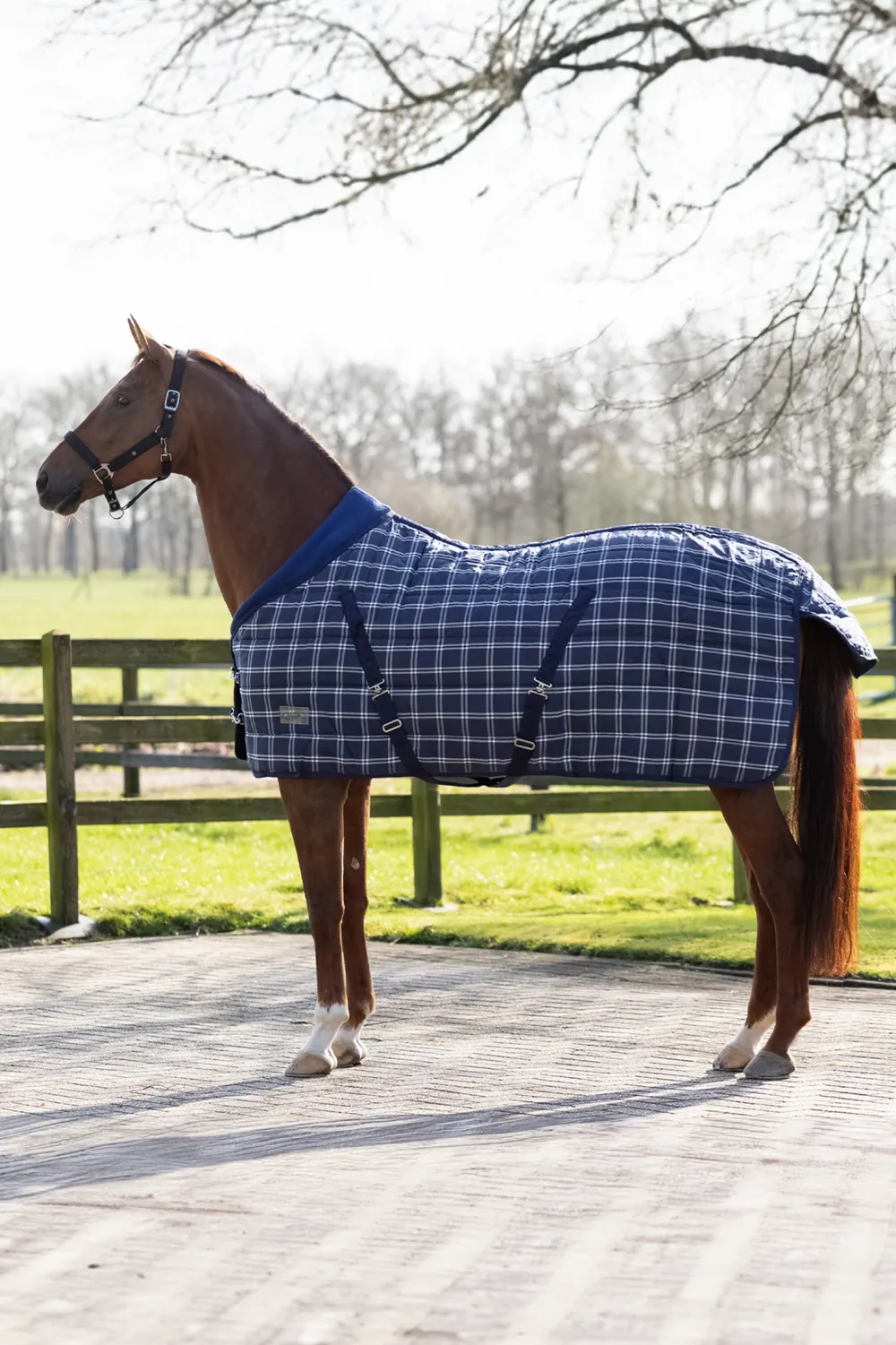 QHP Qhp|Hästtäcken & Flughuvor-Luxury Stalltäcke 300gr Blue Check