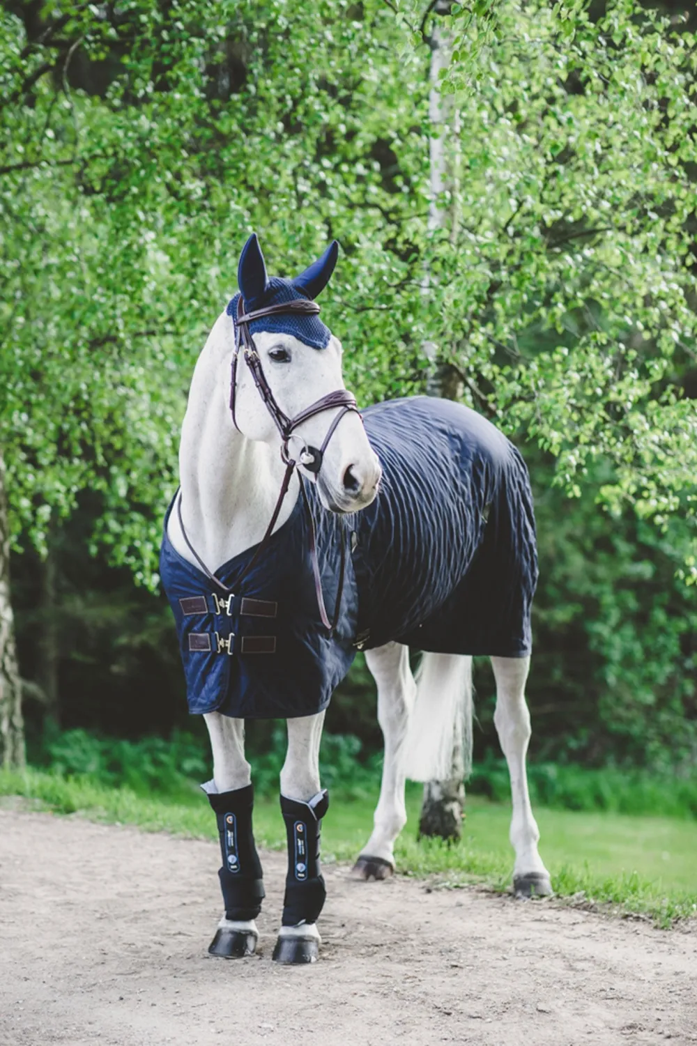 Kentucky Horsewear Benskydd & Benlindor-Magnetic Stallbandage Recuptex