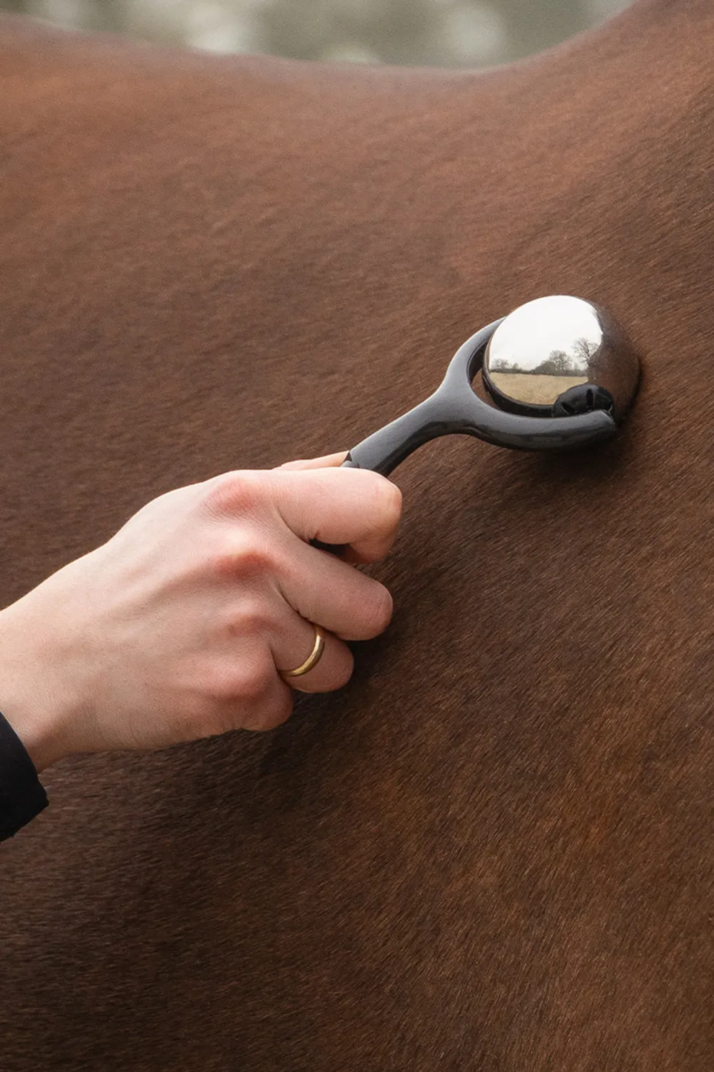 QHP Qhp-Massagerulle Svart