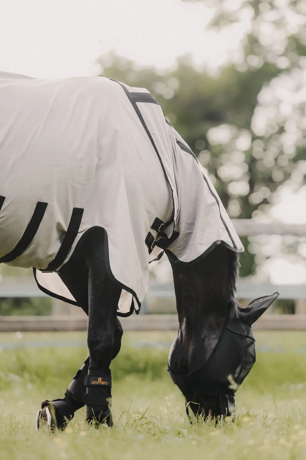 Kentucky Horsewear Flugskydd-Mesh Flugtäcke Beige