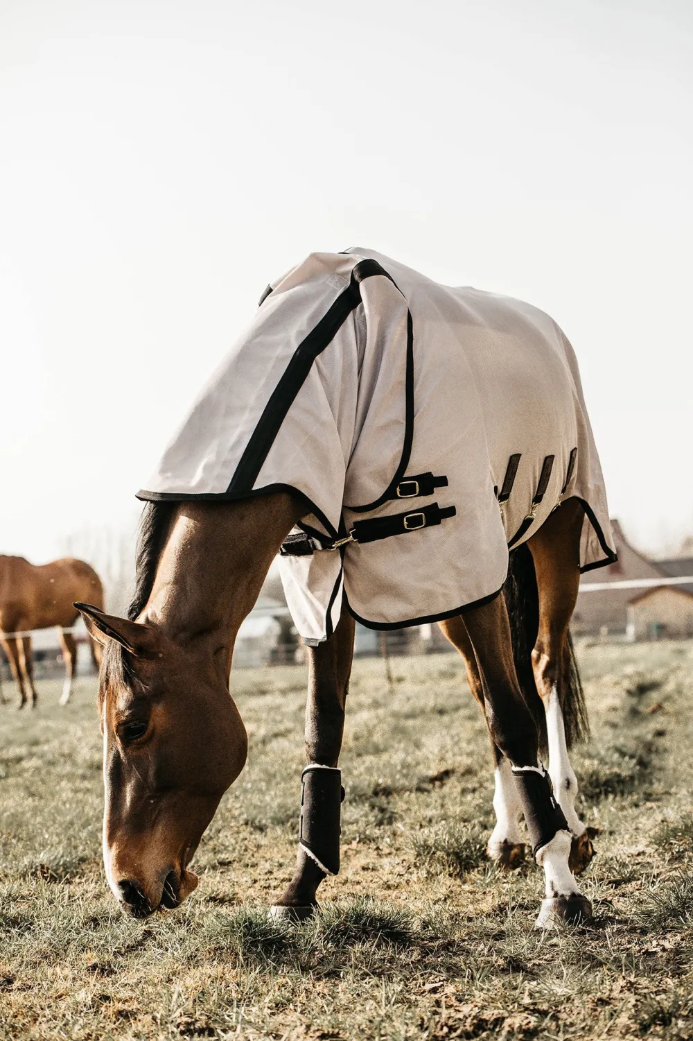 Kentucky Horsewear Flugskydd-Mesh Flugtäcke Beige