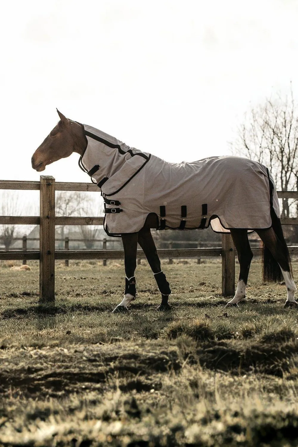 Kentucky Horsewear Flugskydd-Mesh Flugtäcke Beige