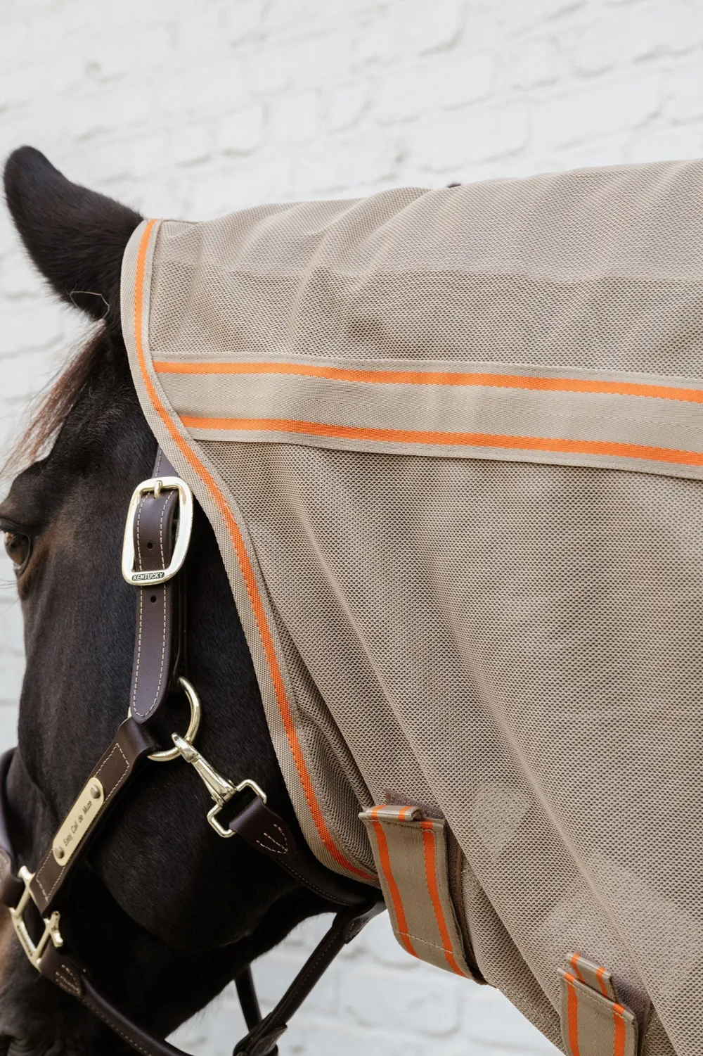 Kentucky Horsewear Hästtäcken & Flughuvor|Kentucky Horsewear-Mesh Flugtäcke Comfort Beige
