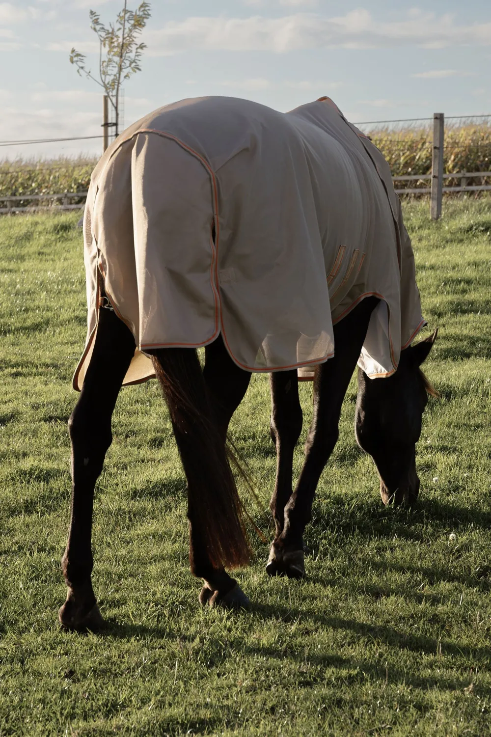 Kentucky Horsewear Hästtäcken & Flughuvor|Kentucky Horsewear-Mesh Flugtäcke Comfort Beige