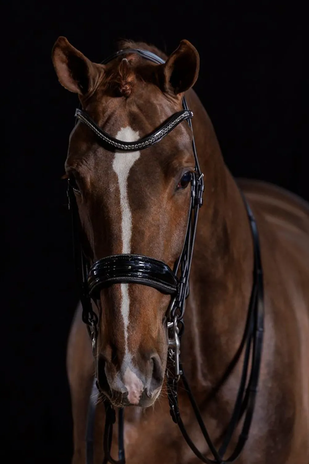 Schockemöhle Schockemöhle-Milan Glam Kandarträns