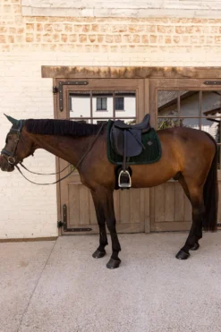 Kentucky Horsewear Kentucky Horsewear|Schabrak & Huvor-Mini Pearl Set Pine Green