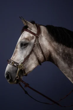 Dyon Dyón|Träns & Pannband-Nackstycke Hackamore New English Brun