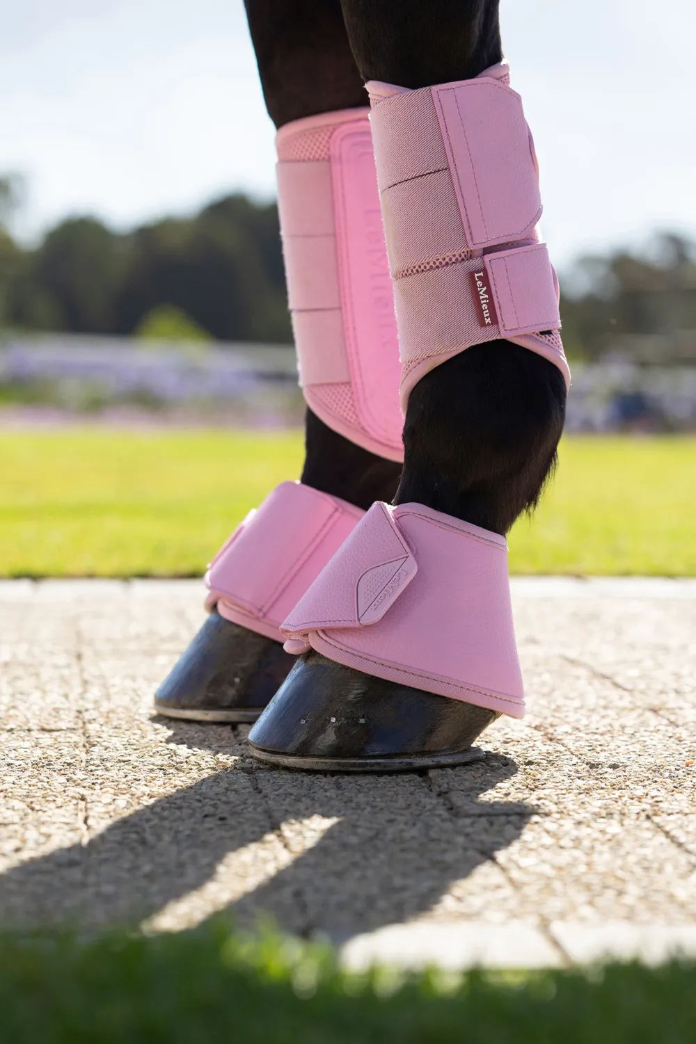 LeMieux Lemieux|Benskydd & Benlindor-Neoprenboots Arika Fondant
