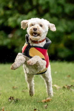 Horseware Horseware-Newmarket Hundfleece Medium Witney Gold