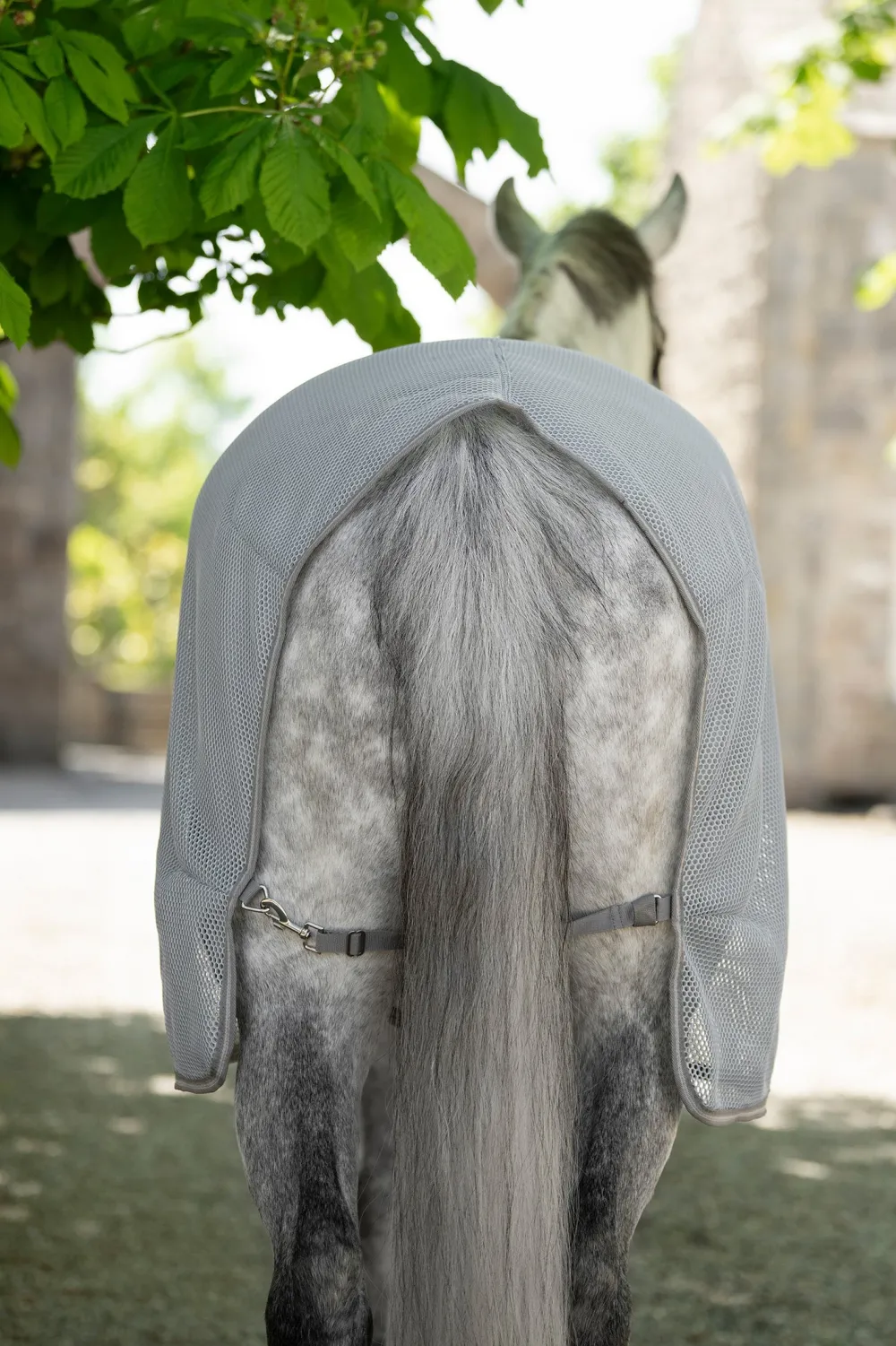 Horseware Horseware|Flugskydd-Nättäcke Amigo Airnet Cooler HeatherBlue/Grey