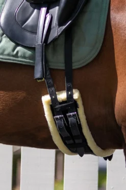 QHP Qhp|Sadelgjordar & Tillbehör-Ontario Dressyrgjord Svart