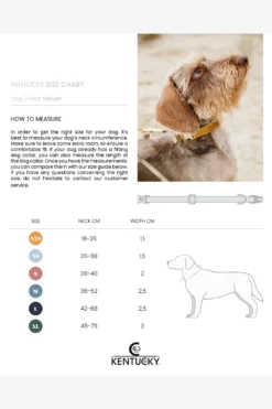 Kentucky Dogwear Kentucky Dogwear-Origina Hundtäcke 160g