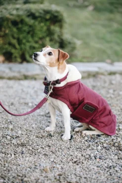 Kentucky Dogwear Kentucky Dogwear-Origina Hundtäcke 160g