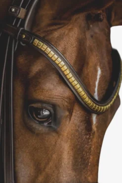 Utzon Equestrian Träns & Pannband|Utzon-Pannband Clincher
