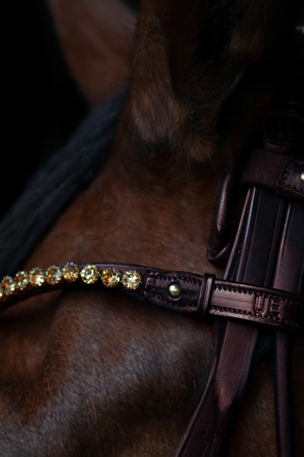Utzon Equestrian Träns & Pannband|Utzon-Pannband Elegant