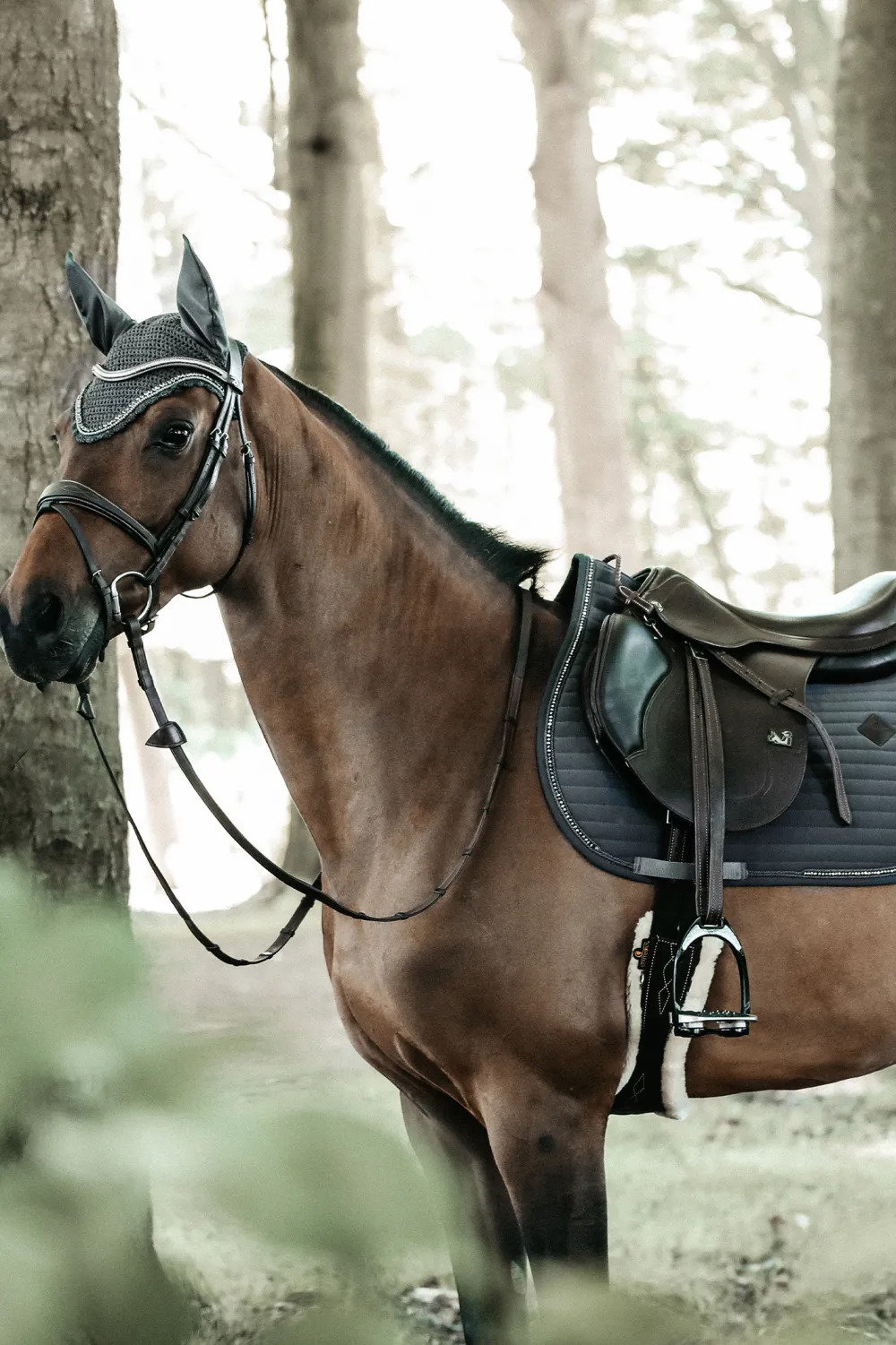 Kentucky Horsewear Schabrak & Huvor-Pearls Allroundschabrak Grå