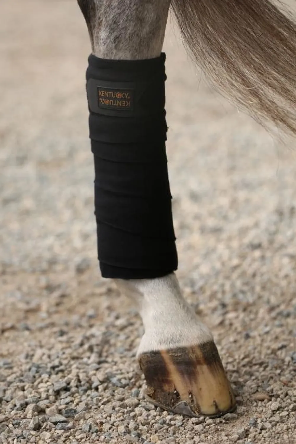Kentucky Horsewear Benskydd & Benlindor-Poar Feeceindor Navy