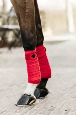 Kentucky Horsewear Kentucky Horsewear|Benskydd & Benlindor-Polar Fleecelindor Velvet Röd