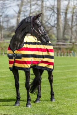 Horseware Horseware-Rambo Deluxe Fleecetäcke