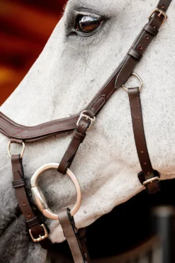 Horseware Träns & Pannband|Horseware-Rambo Micklem 2 Competition Träns